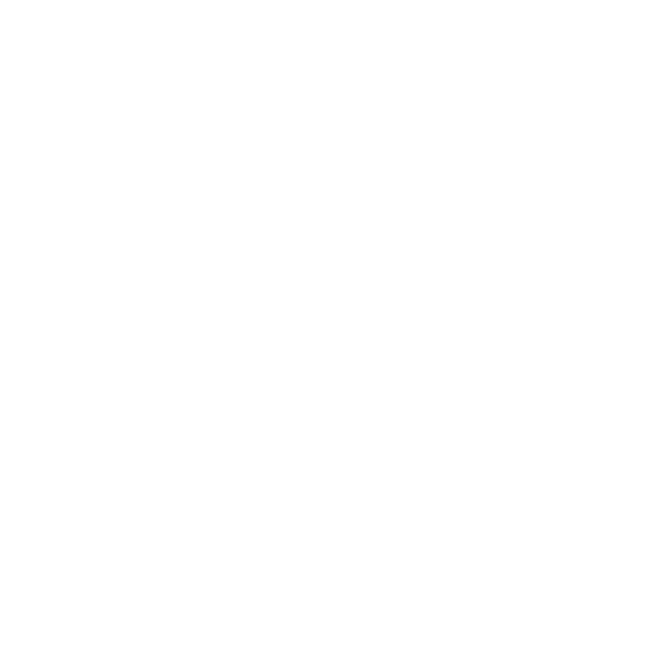 thebox-logotipo-white